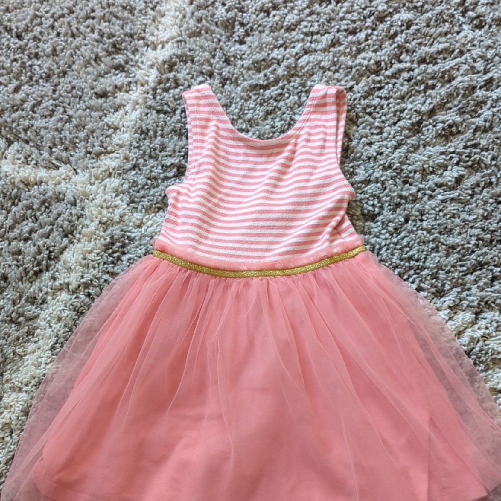 Pink Striped Tulle Dress with Gold Accent